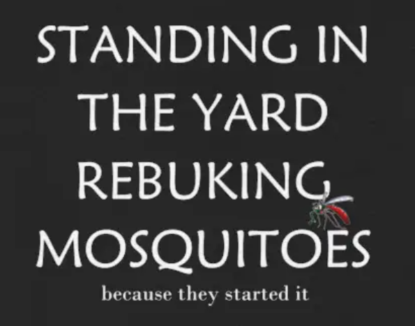 Rebuking Mosquitoes | Because they started it